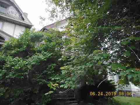 3681 Maxwell (4)_m.jpg